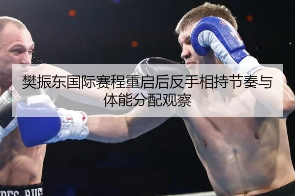 樊振东国际赛程重启后反手相持节奏与体能分配观察