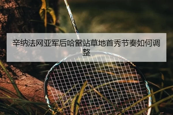 辛纳法网亚军后哈雷站草地首秀节奏如何调整